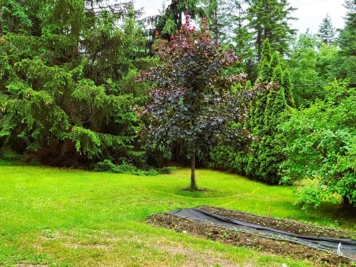 Woodcrest Bed And Breakfast Clearwater Εξωτερικό φωτογραφία