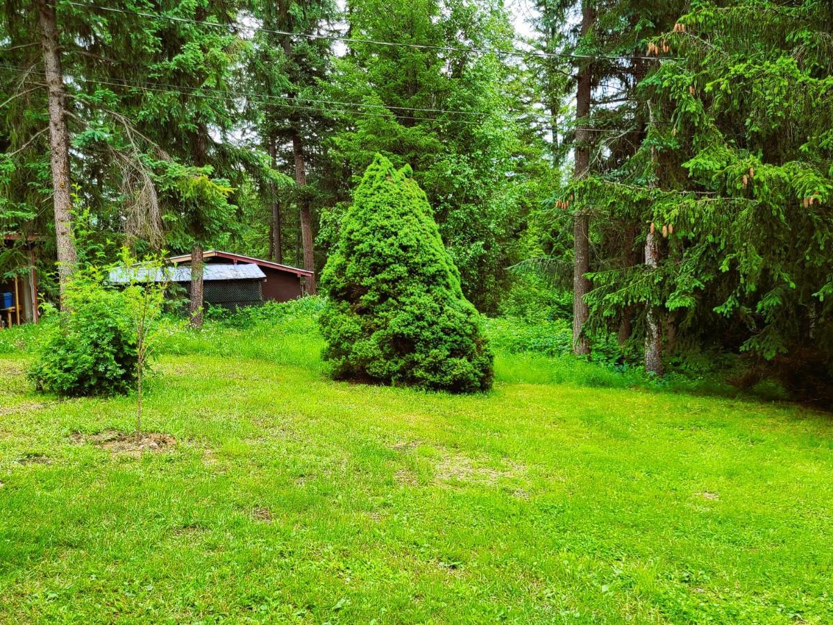 Woodcrest Bed And Breakfast Clearwater Εξωτερικό φωτογραφία